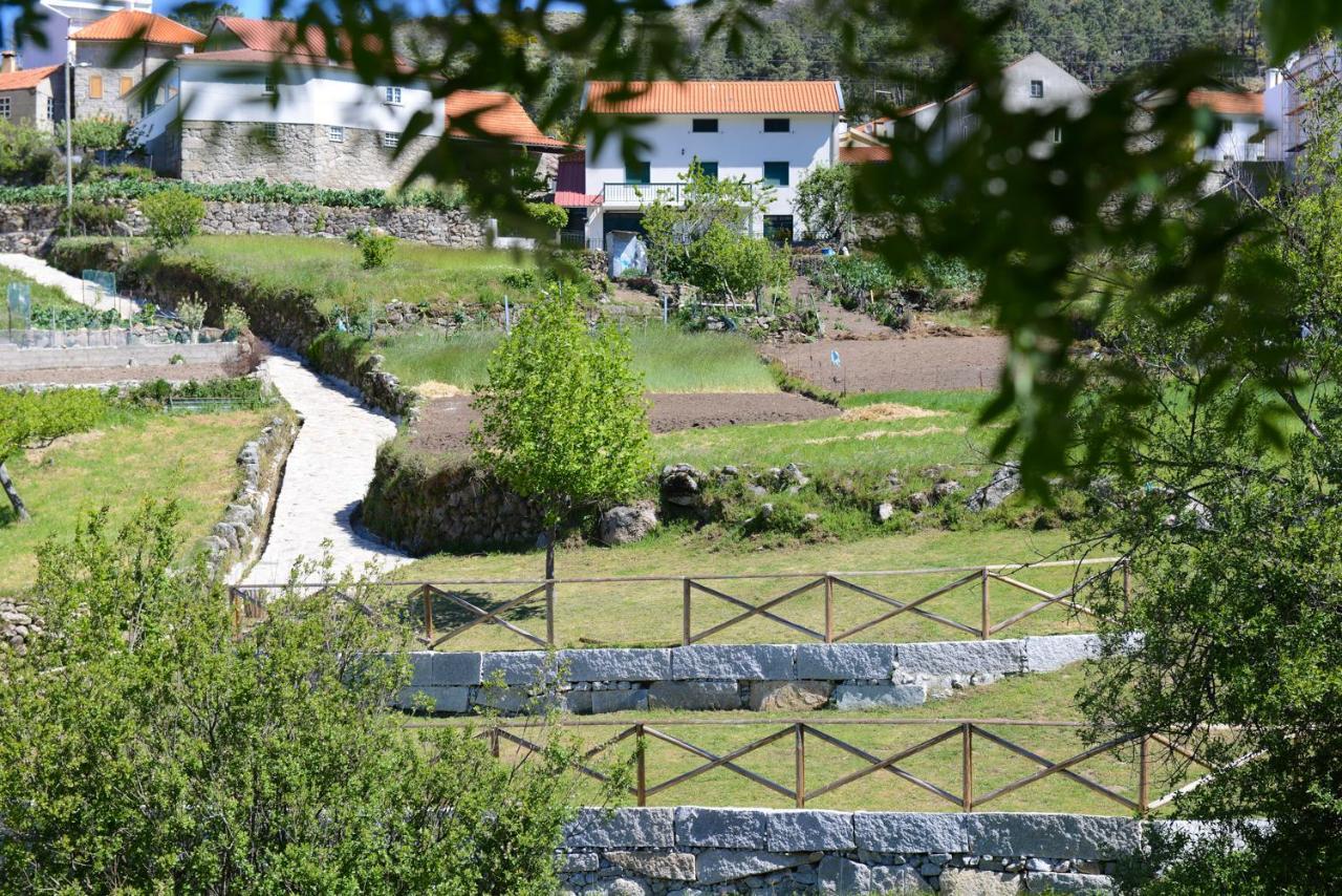 Casa Dos Alcaides * Sabugueiro (Guarda)