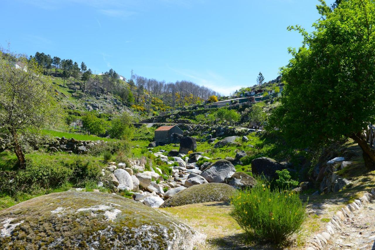 Casa Dos Alcaides Holiday home *